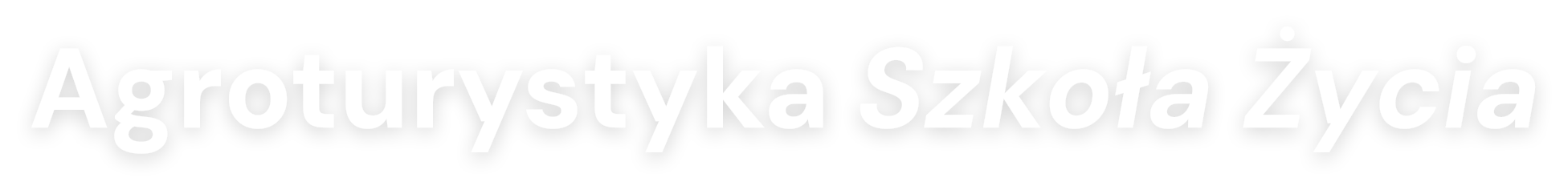 logo v2